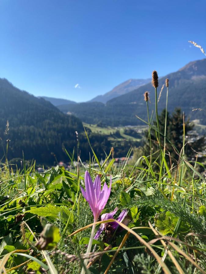 Fewo Gotschna Haus Bargis Klosters-Serneus Extérieur photo